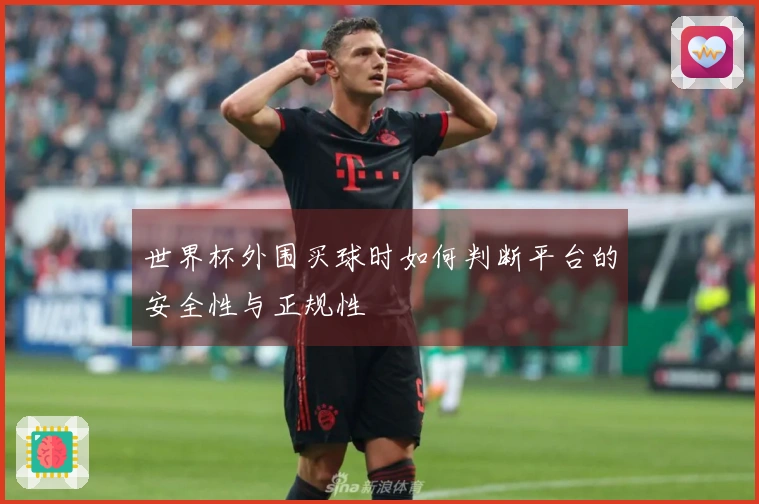 世界杯外围买球时如何判断平台的安全性与正规性