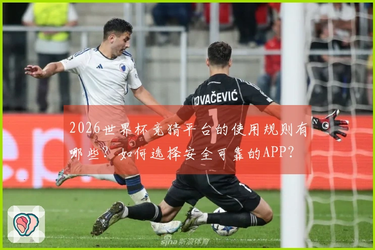 2026世界杯竞猜平台的使用规则有哪些？如何选择安全可靠的APP？
