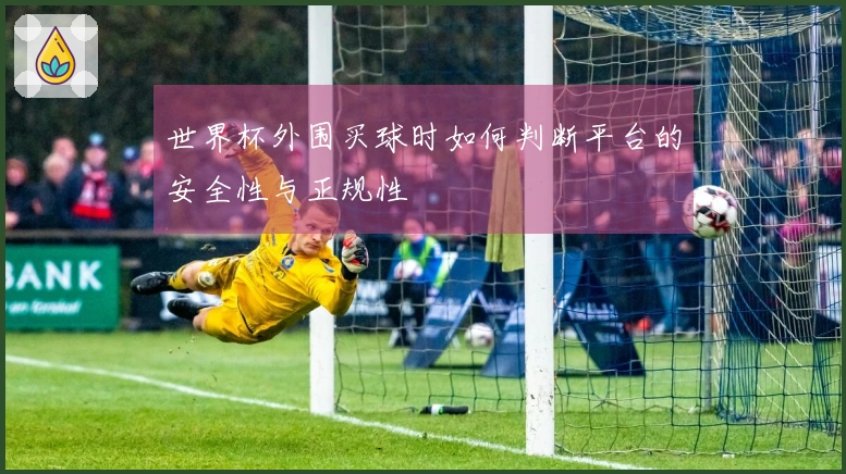 世界杯外围买球时如何判断平台的安全性与正规性