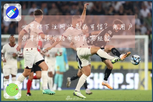 世界杯下注网站是否可信？老用户分享选择与赔率的真实经验
