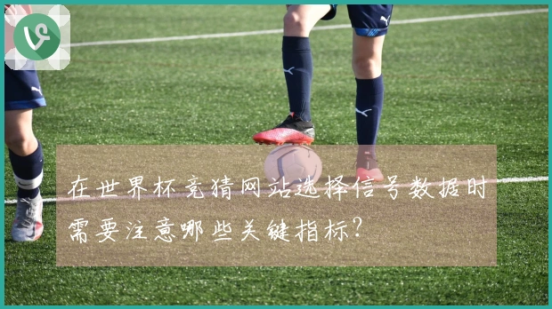 在世界杯竞猜网站选择信号数据时需要注意哪些关键指标？