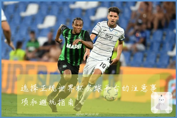 选择正规世界杯买球平台的注意事项和避坑指南