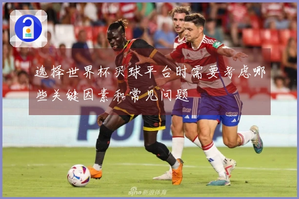选择世界杯买球平台时需要考虑哪些关键因素和常见问题