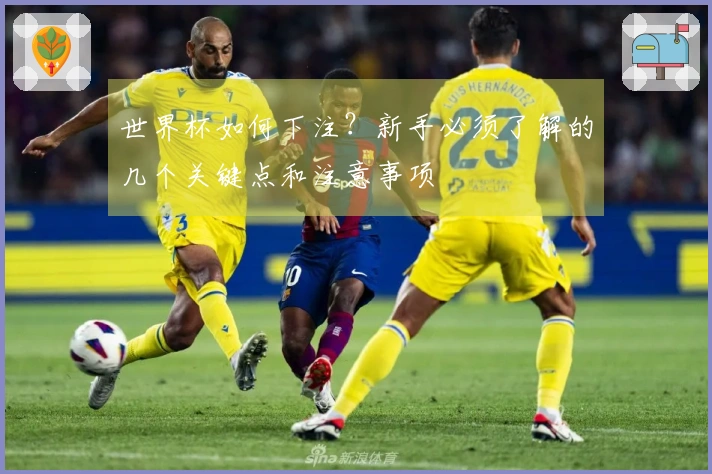 世界杯如何下注？新手必须了解的几个关键点和注意事项