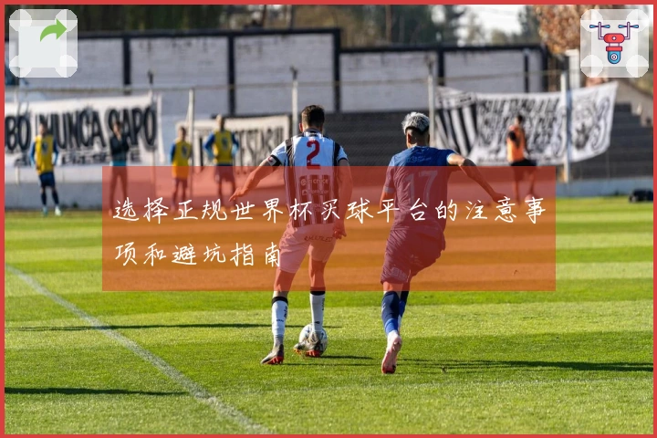 选择正规世界杯买球平台的注意事项和避坑指南