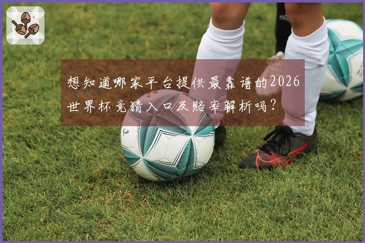 想知道哪家平台提供最靠谱的2026世界杯竞猜入口及赔率解析吗？